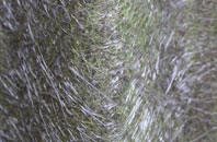 North Newnton fibreglass roof work